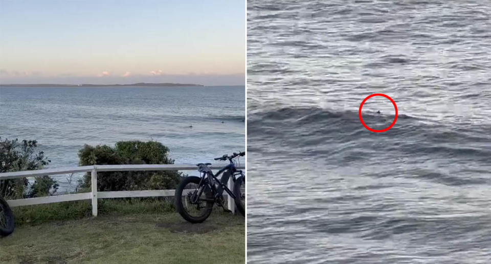 A small shape can be seen in the water, which turned out to be a drowning magpie.