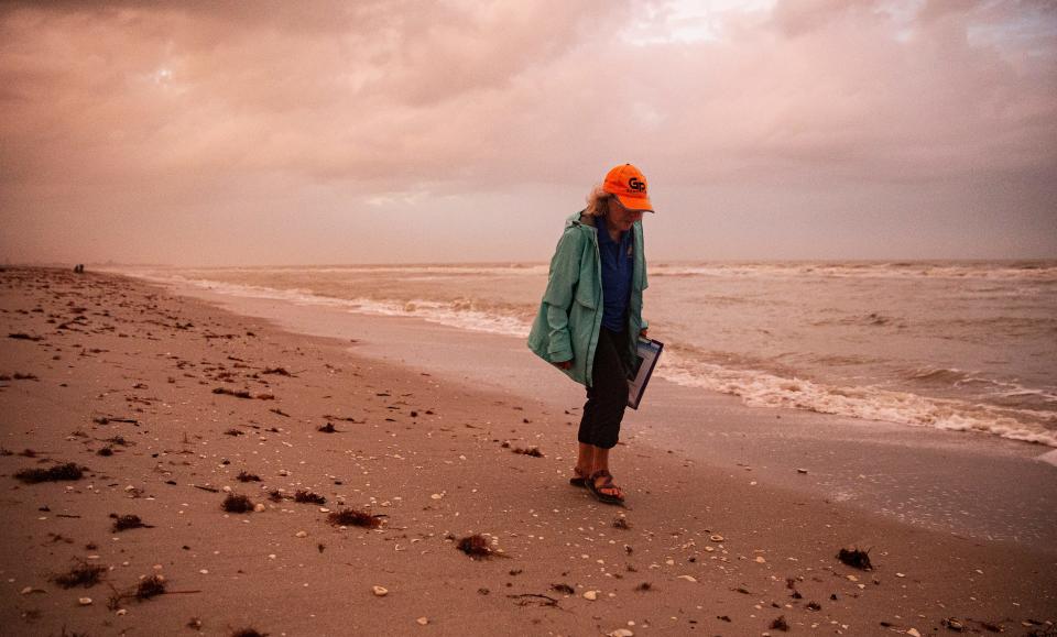 Karen Back searches for live mollusks at BowmanÕs Beach on Sanibel Island on Saturday, Jan. 13, 2024. She was participating in the annual live mollusk count for the Bailey-Matthews National Shell Museum.