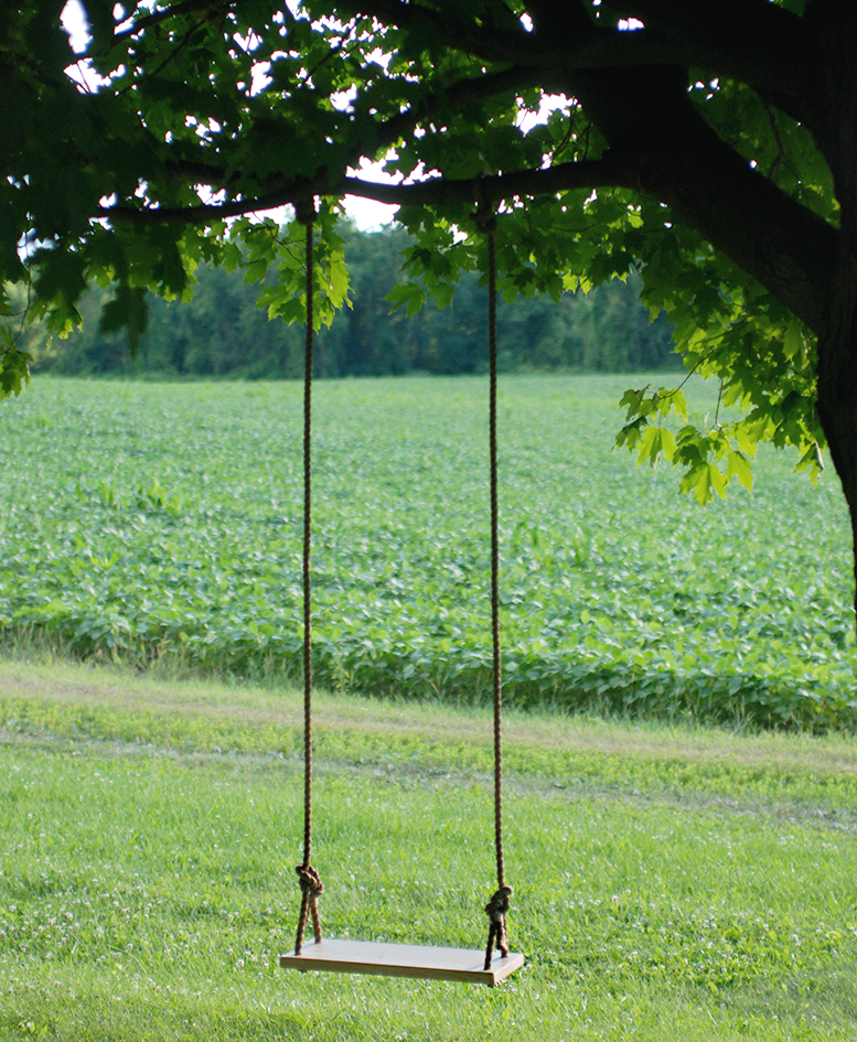 backyard decor ideas tree swing