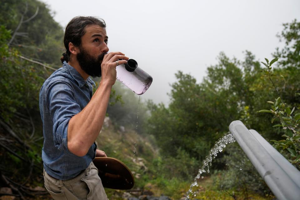 Activist Bridger Zadina drinks spring water flowing from a BlueTriton pipe in the San Bernardino National Forest on Monday, Sept. 18, 2023, in San Bernardino, Calif. As a part of their permit, the company is required to release a certain amount of spring water to serve wildlife in the area. The State Water Resources Control Board is expected to vote Tuesday on whether to issue a cease-and-desist order against BlueTriton, the company that produces the widely-known Arrowhead brand of bottled water. The order would prevent BlueTriton from drawing water from certain points in the San Bernardino National Forest. (AP Photo/Ashley Landis)