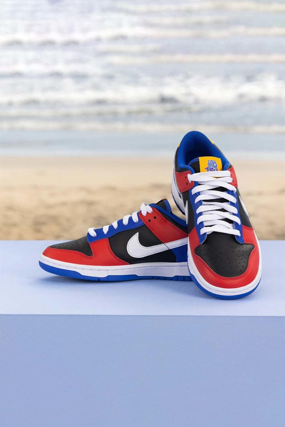 Nike HBCU Dunk Low TSU dr6190-100 North Carolina dr6187-001 florida am dr6188-800 cau dr6189-001 release date