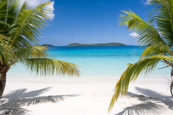 Tropical beach with palm trees and blue sky in Caribbean.