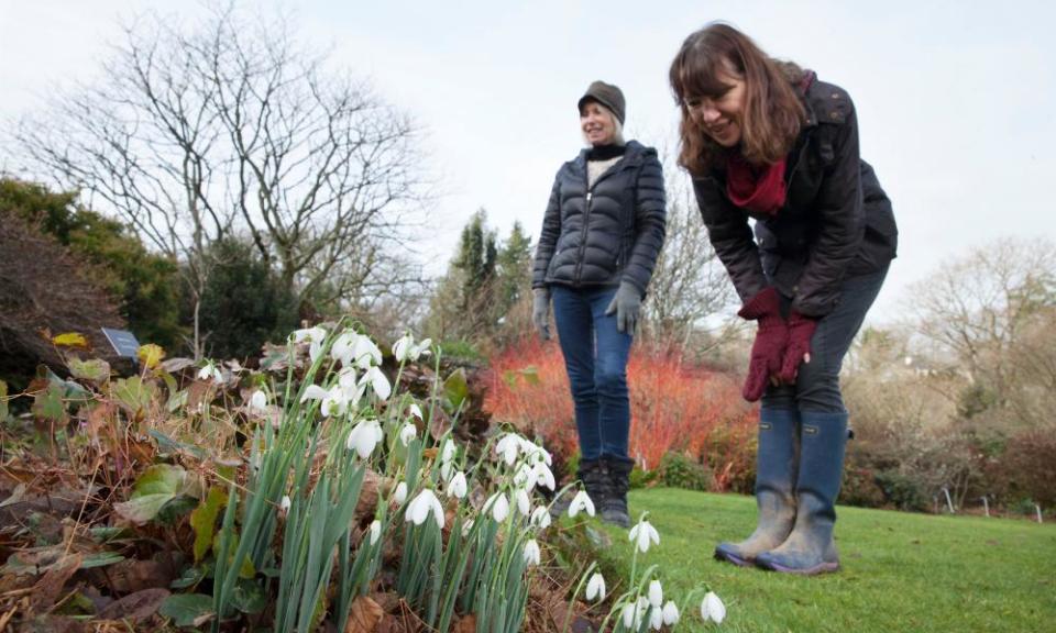 <span>Photograph: Karen Robinson/The Guardian</span>