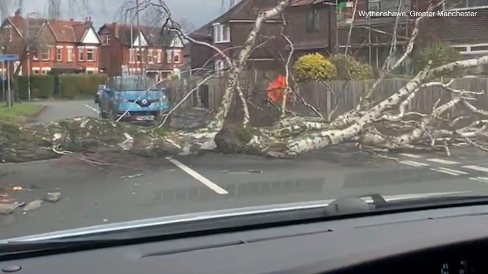 Trees blocked roads in various parts of the country as Storm Pia brought high winds. (SWNS)