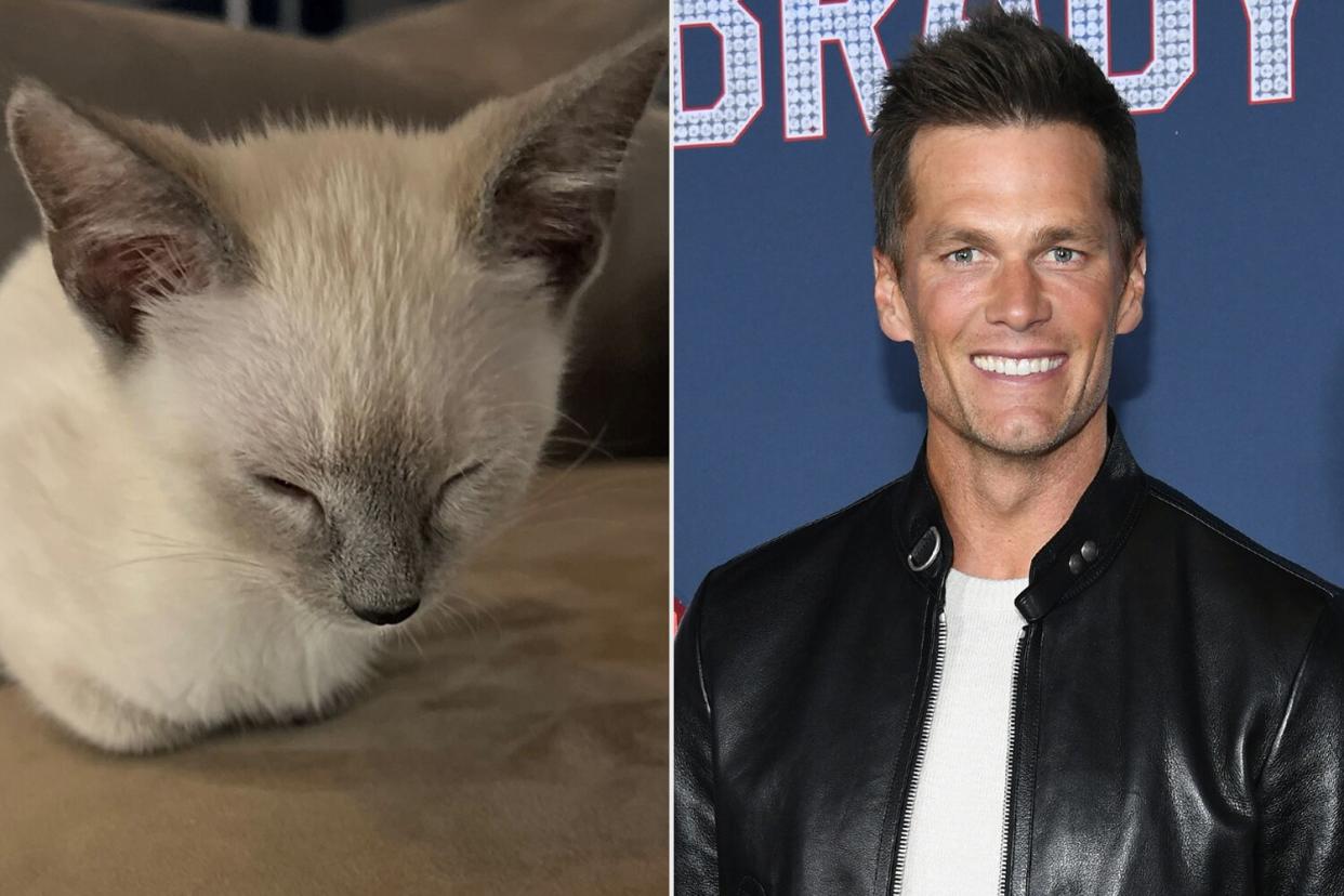 Tom Brady's Daughter Vivian Uses 'Dad's Phone' to Post Pictures of the Family's New Rescue Kittens