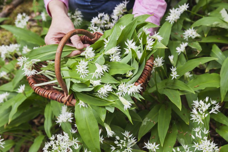 march gardening