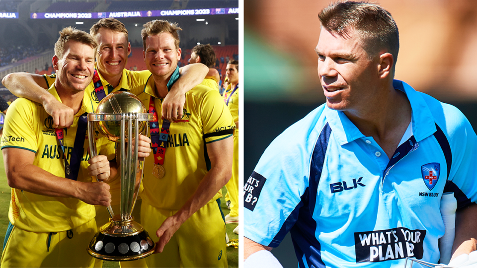 A late push to have Australia's one-day domestic cricket competition named after David Warner (pictured right) appears set to fail as a result of fan blowback. (Getty Images)