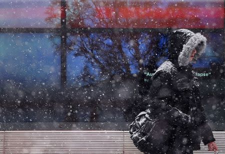 A man makes his way through the falling snow in Times Square in New York, January 26, 2015. REUTERS/Mike Segar