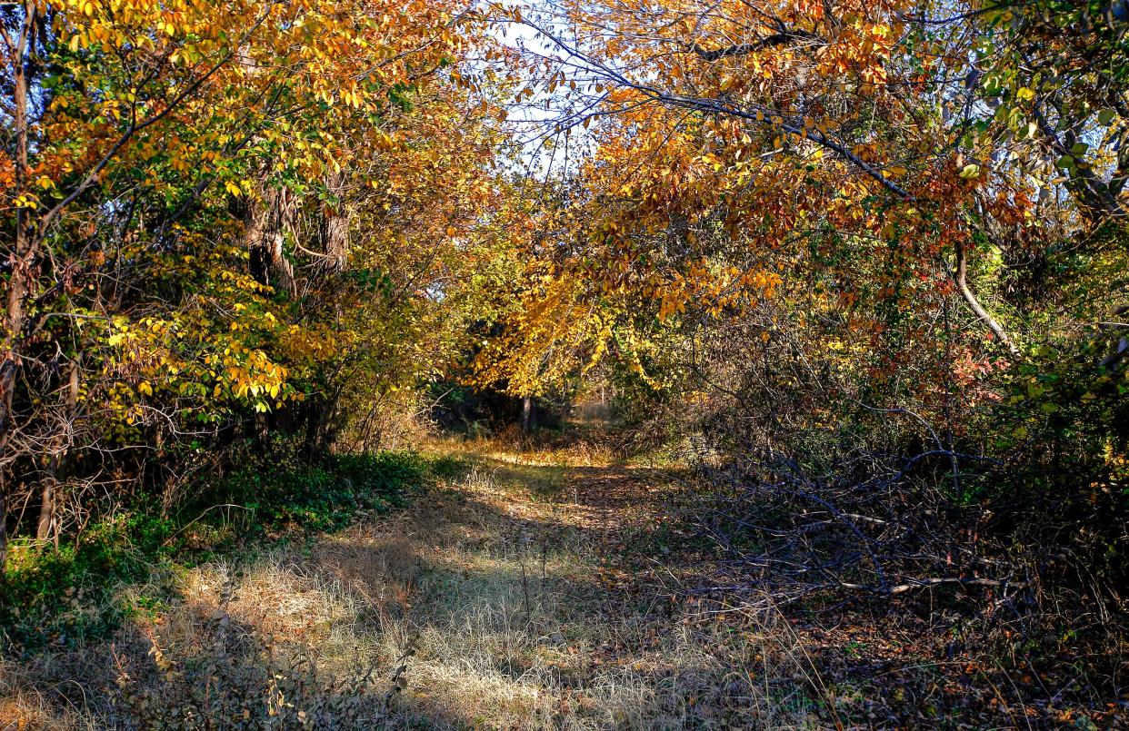 A conservation easement on park property south of E.C. Hafer Park is pictured Nov. 8 in Edmond.