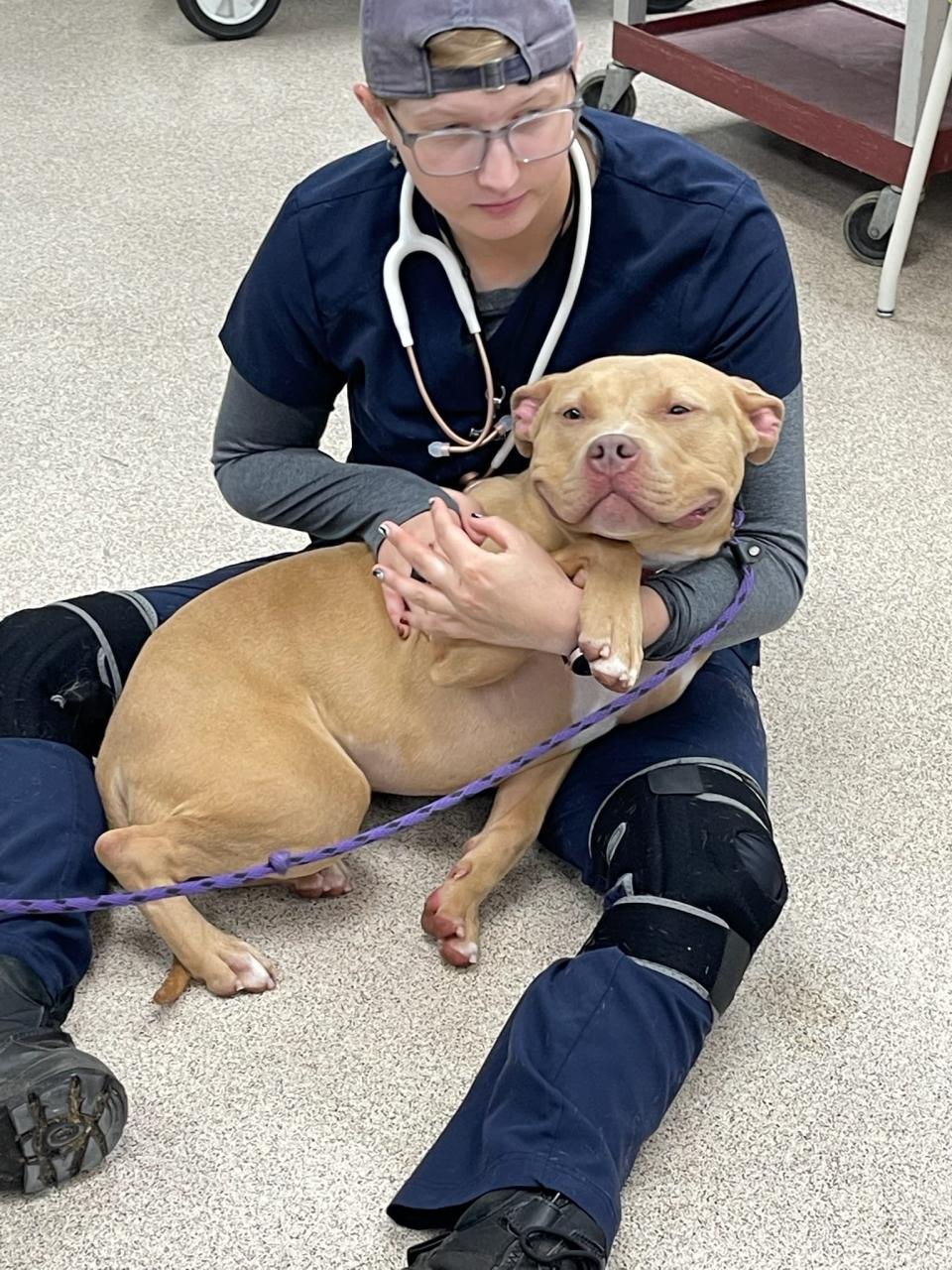 Bergen Community College and the Bergen County Animal Shelter are partnering together to help give students experience and necessary care for the animals before they are adopted.