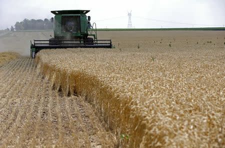 A combine drives over stalks of soft red winter wheat during the harvest on a farm in Dixon, Illinois, in this July 16, 2013 file photo. REUTERS/Jim Young/Files