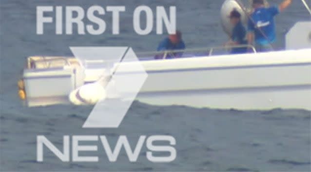 The massive shark measured in at 3.15 metres exactly. Source: 7 News.