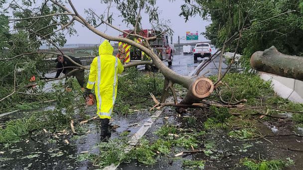 PHOTO: Firefighters work to remove a fallen tree from the road in Vega Baja, Puerto, Rico, Sept. 18, 2022. (Fire Department Bureau of Puerto via Getty Images)