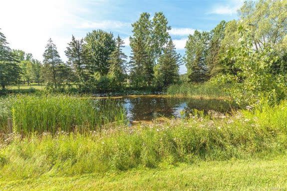 A private pond to fulfill your Michigan dreams.