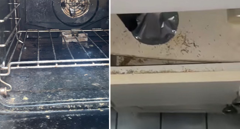 Left, the oven covered in mould. Right, kitchen cupboards full of mould and nondescript substance.