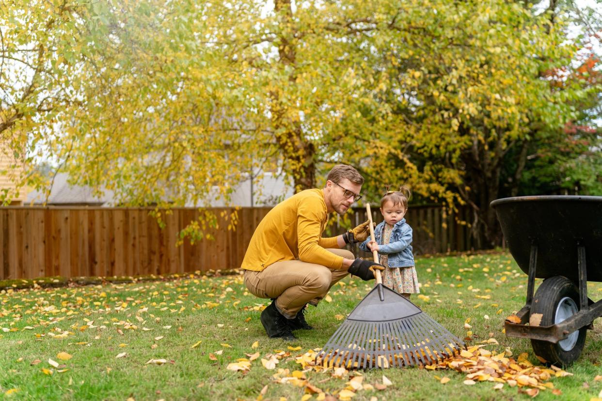 Dad teaching daughter how to rake leaves