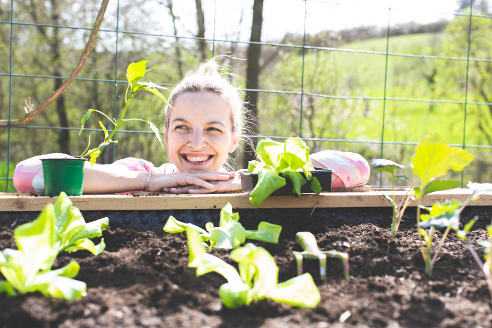 Habitants des grandes villes, cette activité n’est sûrement pas pour vous. Plus d’un Français sur deux veut s’adonner au jardinage et planter un potager. 