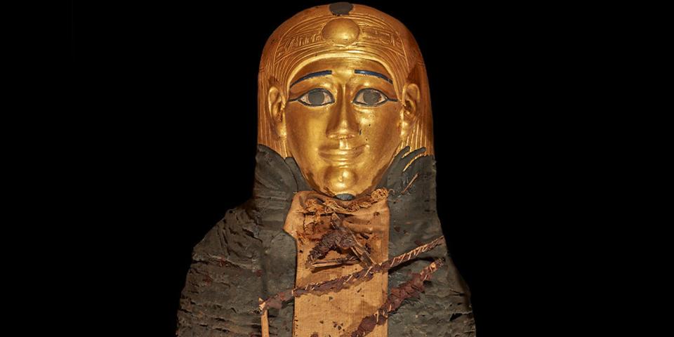 Front view photo of the mummy coded TR 21/11/16/16 at the Cairo Egyptian Museum 333 The mummy wears a gilded head mask, and the body is fully covered by brown-colored wrapping. Dried ferns are placed 334 on a light beige rectangular linen on the front surface of the body
