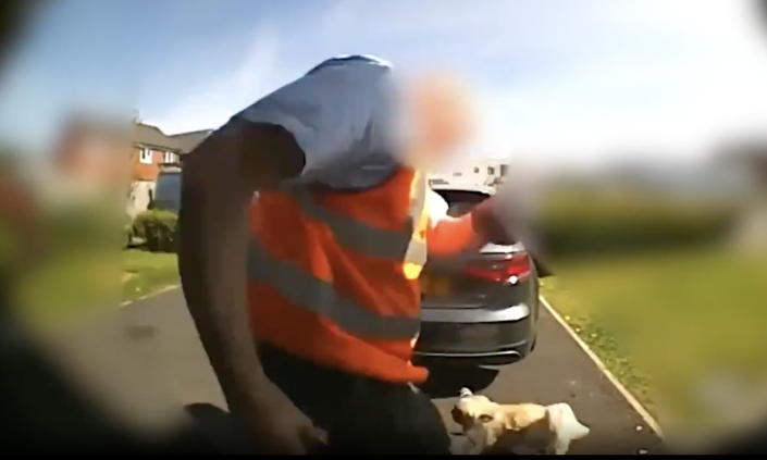 A postman appears to kick out at a dog on a driveway during a delivery in Greater Manchester. (Reach)