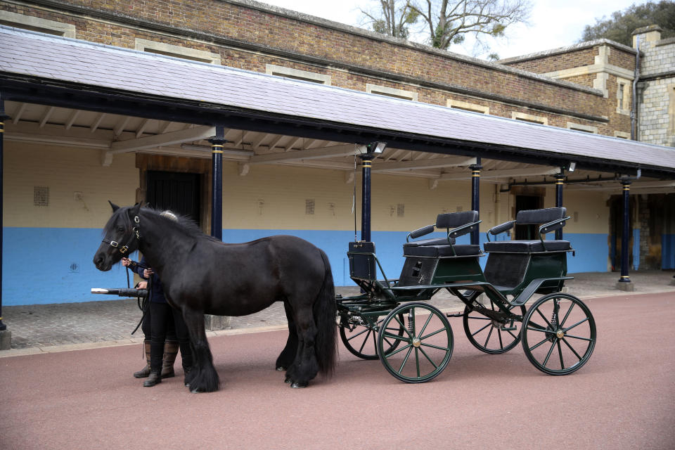 Balmoral Nevis and Notlaw Storm with the carriage