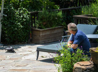 Robert F. Kennedy Jr. nourrit ses deux corbeaux à son domicile de Los Angeles, le 10 juin 2024.. photo RUTH FREMSON/NYT