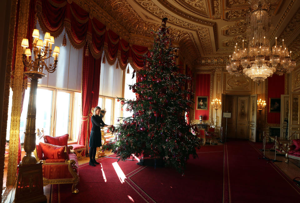 Another massive tree can be found in a second part of the castle [Photo: PA]