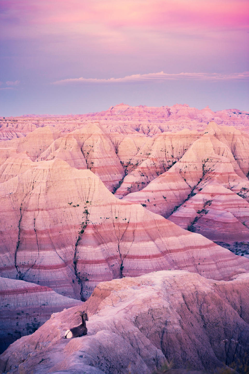 Badlands National Park at sunset.