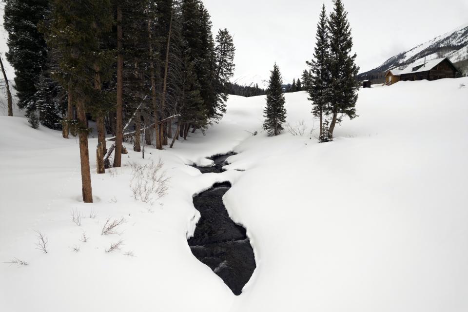 The East River flows beneath snow Thursday, March 14, 2024, in Gothic, Colo. Billy Barr's measurements revealed something he never expected long ago: snow is arriving later and disappearing earlier as the world warms. That’s a concerning sign for millions of people in the drought-stricken Southwest who rely on mountain snowpack to slowly melt throughout spring and summer to provide a steady stream of water for cities, agriculture and ecosystems. (AP Photo/Brittany Peterson)