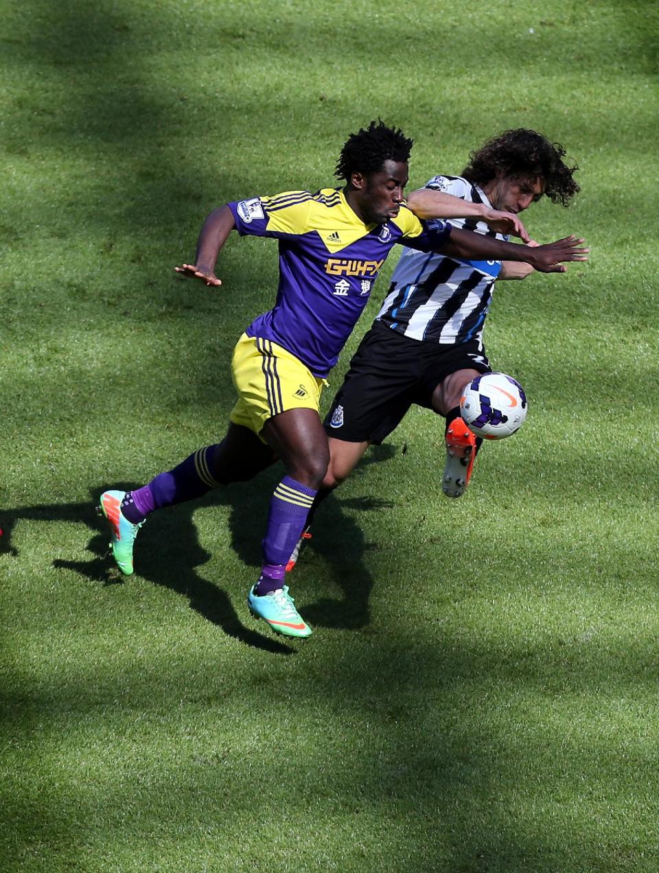 Newcastle United's captain Fabricio Coloccini, right, vies for the ball with Swansea City's Wilfried Bony, left, during their English Premier League soccer match at St James' Park, Newcastle, England, Saturday, April 19, 2014. (AP Photo/Scott Heppell)