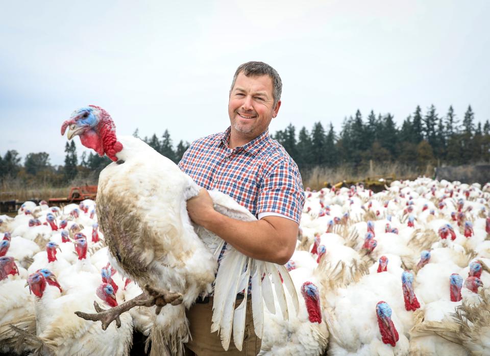Champoeg Farm owner Mark Anderson holds up a broad-breasted tom turkey that can grow to 50 pounds.