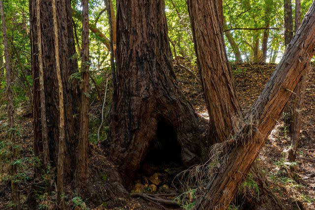 Brian Baer/Courtesy of California State Parks