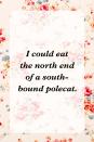 <p>"I could eat the north end of a south-bound polecat."</p>