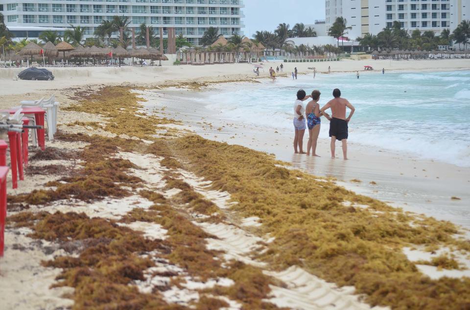 Esta playa de fina arena se vio cubierta por la plaga de sargazo en abril de 2019. / Foto: Medio y Media.