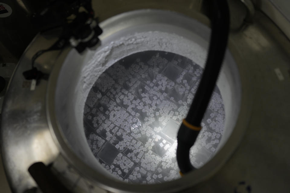 Cow embryos are stored at the ABS laboratory in Uberaba, Minas Gerais state, Brazil, Monday, April 29, 2024. The embryos are used for in vitro fertilization of surrogate cows. (AP Photo/Silvia Izquierdo)