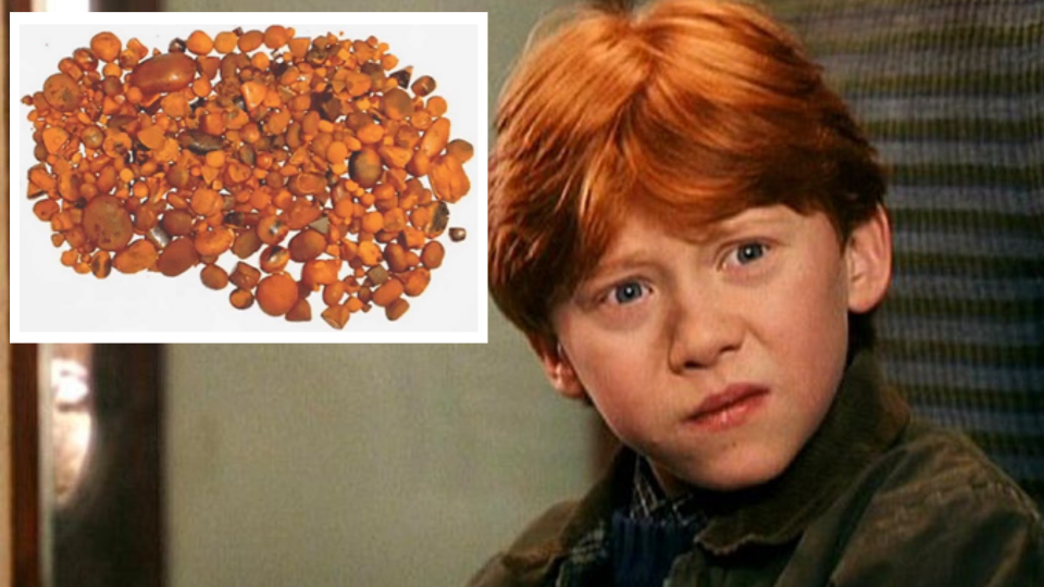 People love bovine gallstones. Images: Warner Bros., Beef Central.