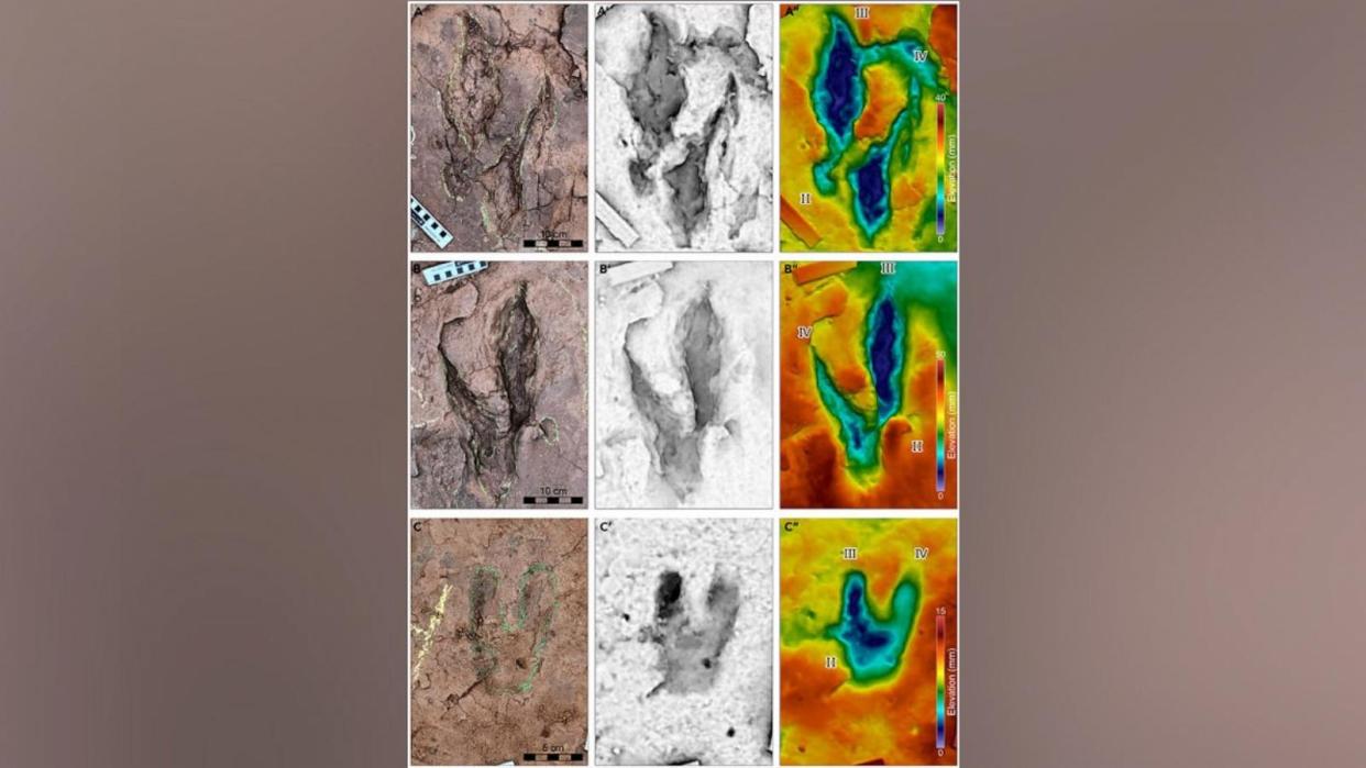 PHOTO: Details of select larger didactyl tracks preserved at the Longxiang tracksite I/ (iScience published by Elsevier)