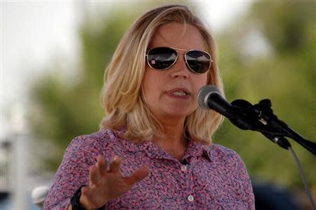 U.S. Senate candidate Liz Cheney speaks to voters during a Republican and Tea Party gathering in Emblem, Wyoming August 24, 2013. REUTERS/Ruffin Prevost