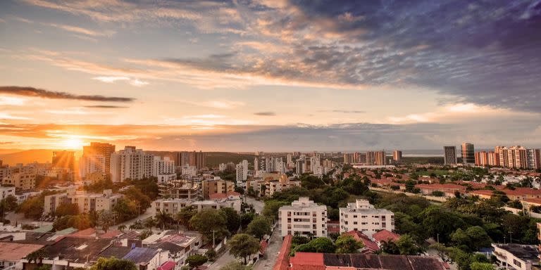 La ciudad de Barranquilla, en Colombia, se posiciona como una de las más comprometidas con la biodiversidad de su ciudad