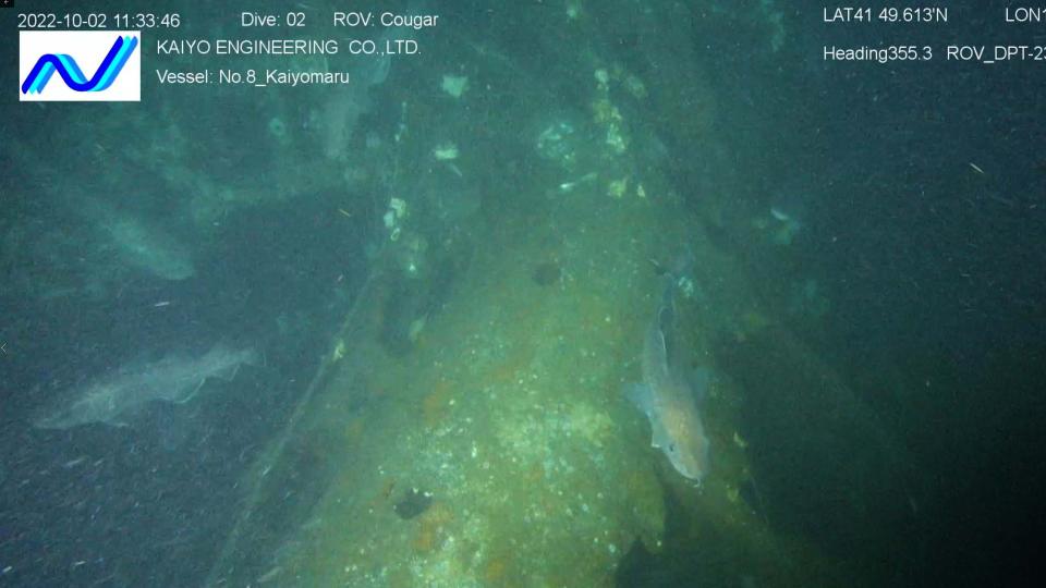 The vent holes along the top of the superstructure are one of the distinctive features that allowed the U.S. Navy to positively identify the wreck as that of USS Albacore.