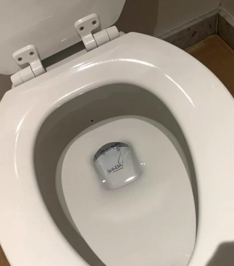 Pieces of paper at the bottom of a toilet