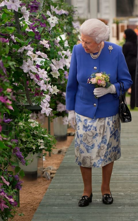 the queen at chelsea flower show - Credit: AFP