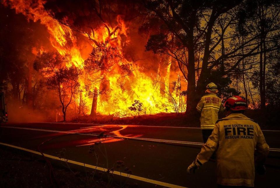 The Australian wildfires | David Gray/Getty