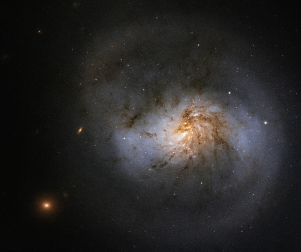 NGC 1022