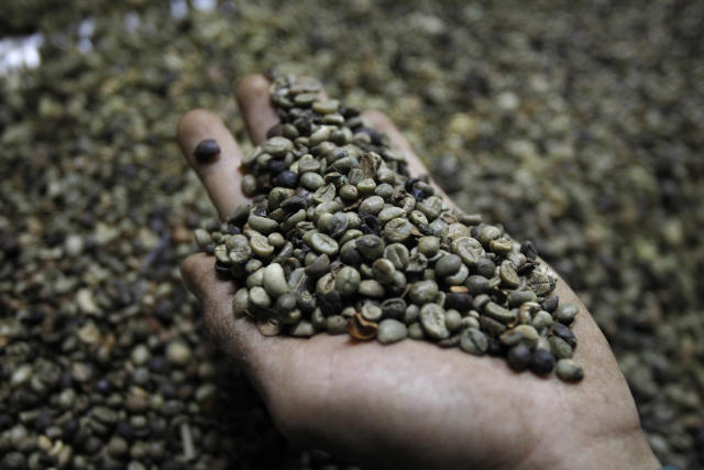 Insight: If your coffee's going downhill, blame climate change