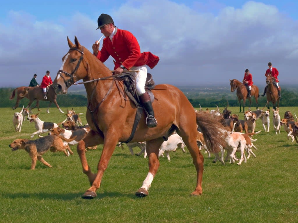 More than a million acres of countryside are now out of bounds to hunts (Getty Images)