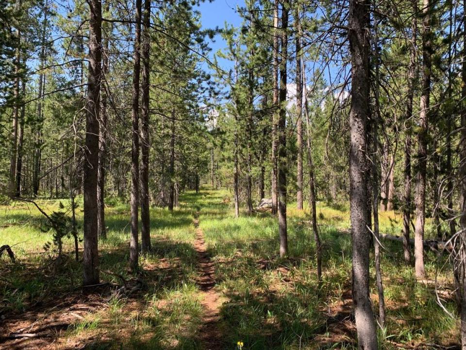 Few people visit the Idaho section of Yellowstone National Park.