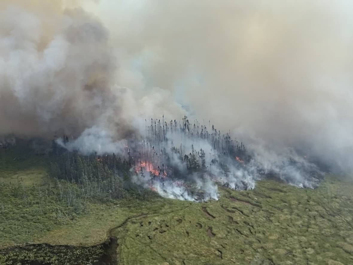 Two massive forest fires continue to burn in central Newfoundland. The fire near the Bay d'Espoir Highway, pictured here on Sunday, grew by nearly 10 per cent in size on Monday. (Submitted by Derrick Bragg - image credit)