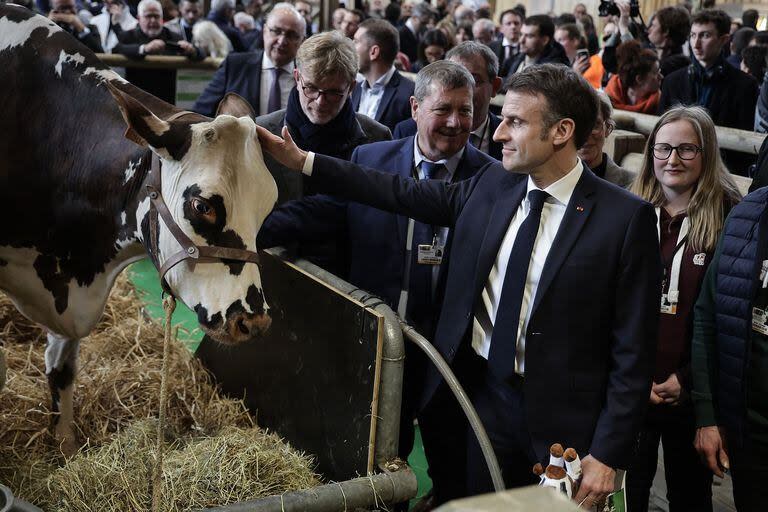 Macron acaricia a la vaca normanda 