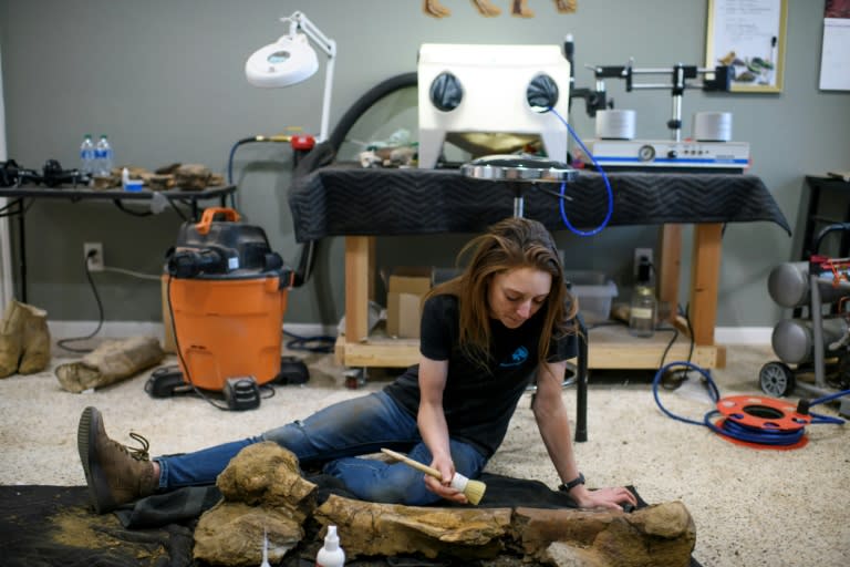 Fossil restorationist Lauren McClain dusts off a Hadrosaurid femur in Houston, Texas (Mark Felix)