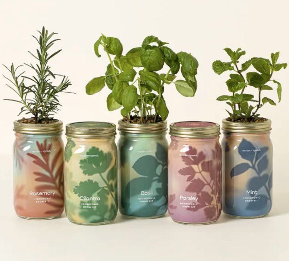 <p><a href="https://go.redirectingat.com?id=74968X1596630&url=https%3A%2F%2Fwww.uncommongoods.com%2Fproduct%2Fmason-jar-indoor-herb-garden&sref=https%3A%2F%2Fwww.housebeautiful.com%2Flifestyle%2Fgardening%2Fg1736%2Fgardening-gift-ideas%2F" rel="nofollow noopener" target="_blank" data-ylk="slk:Shop Now;elm:context_link;itc:0;sec:content-canvas" class="link ">Shop Now</a></p><p>Mason Jar Indoor Herb Garden</p><p>uncommongoods.com</p><p>$20.00</p>